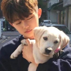 Profile photo of concrete